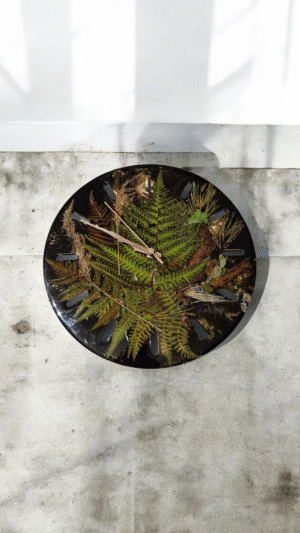 Black Forest 1. Wall watch